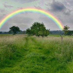 Meet your Posher, Eugene